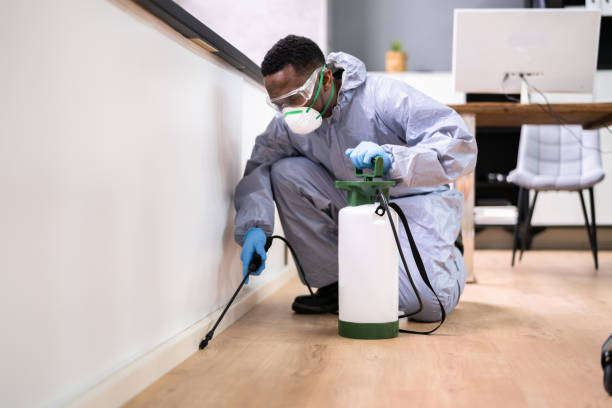 Best Residential Pest Control  in Union City, IN